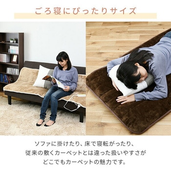 空気をキレイにするホットカーペット YAMAZEN(山善)