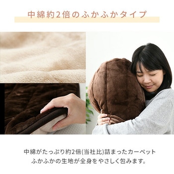 空気をキレイにするホットカーペット YAMAZEN(山善)