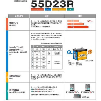 D20-H52 バッテリーターミナルセット エスコ