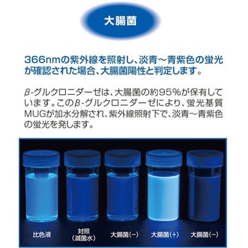 ECブルー 100 100mL×80本入 島津ダイアグノスティクス