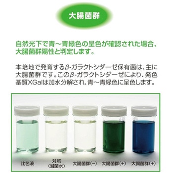 ECブルー 100 100mL×80本入 島津ダイアグノスティクス