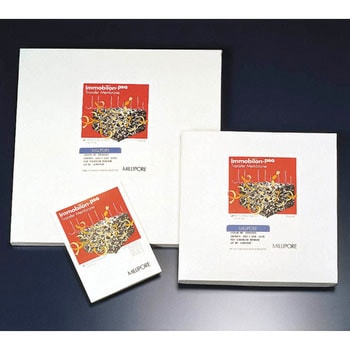 イモビロンブロッティングメンブレン Merck(メルクミリポア)