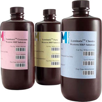 HRP化学発光検出試薬(ルミナタ) Merck(メルクミリポア)