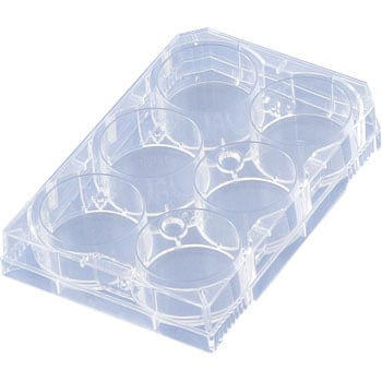 3810-006-MYP 組織培養マルチウェルプレート(IWAKI) IWAKI(AGCテクノグラス) 68405076