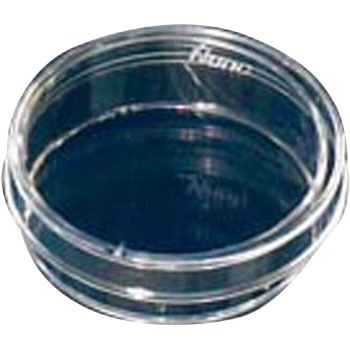 150460 �זE�|�{�y�g���f�B�b�V�� Thermo Fisher Scientific 68405234