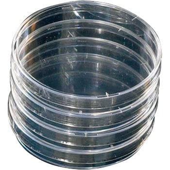 172931 �זE�|�{�y�g���f�B�b�V�� Thermo Fisher Scientific 68405277