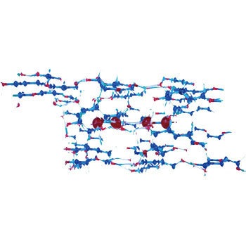 PSA-1 ���q�\���͌^(�����E�^���E) �^���E 68417834