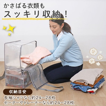 衣類収納バッグ クリア2枚組 アストロ