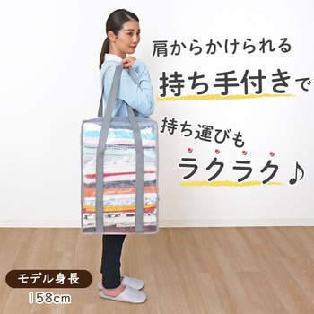 衣類収納バッグ クリア2枚組 アストロ