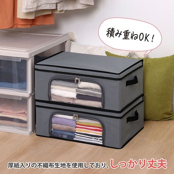 活性炭 衣類収納ケース2個組 アストロ