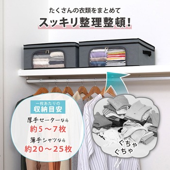 活性炭 衣類収納ケース2個組 アストロ