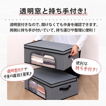 活性炭 衣類収納ケース2個組 アストロ