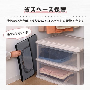 活性炭 衣類収納ケース2個組 アストロ