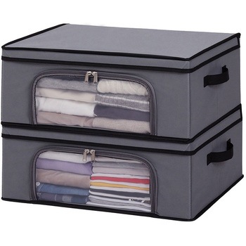 活性炭 衣類収納ケース2個組 アストロ