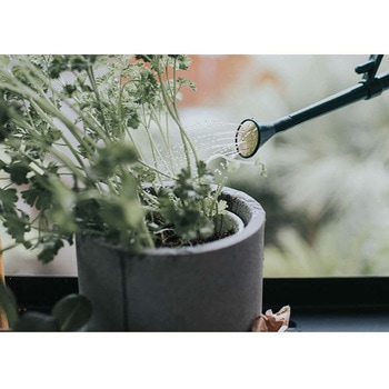 Handy Indoor ジョウロ ガーデニング 0.7L 5色展開 - Haws