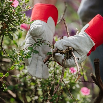 Rigger Gloves Mens Large ガーデニング グローブ メンズ Lサイズ Kent & Stowe