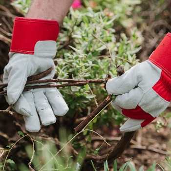 Rigger Gloves Mens Large ガーデニング グローブ メンズ Lサイズ Kent & Stowe