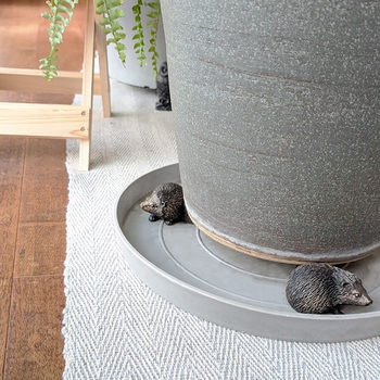 Potty Feet Hedgehog 鉢オブジェ ポットフィート ハリネズミ 3個入り Jardinopia
