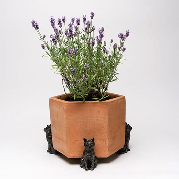 Potty Feet Sitting Cat 鉢オブジェ ポットフィート 座りネコ 3個入り Jardinopia