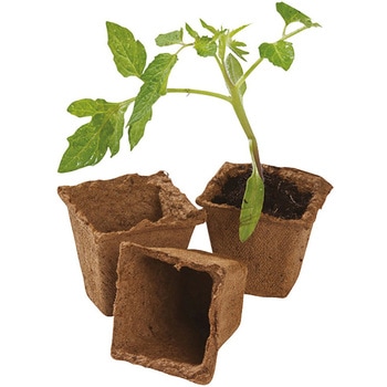 Fibre Pot Square ファイバーポット 四角 6cm×20個入り Gardland