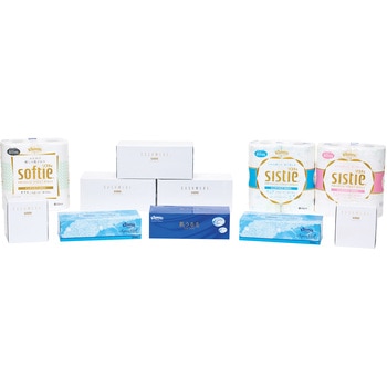 ティッシュペーパー トイレットペーパー 詰め合わせ 11点セット 日本製紙クレシア