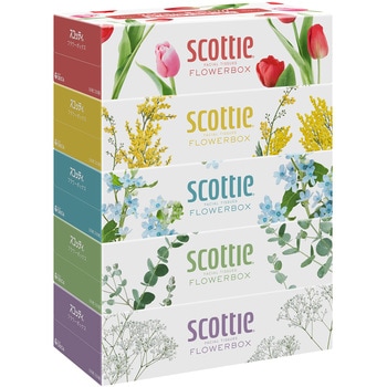 スコッティ ティッシュペーパー フラワーボックス 500枚(250組) 日本製紙クレシア