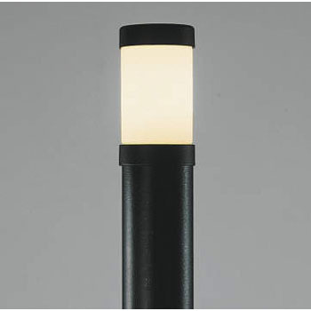 AEE664032 �G�N�X�e���A �K�[�f�����C�g �R�C�Y�~(���򐬊�) 68465504