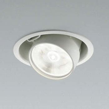 AD41391L �_�E�����C�g �R�C�Y�~(���򐬊�) 68470928