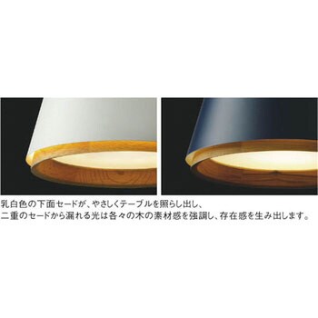 pendant light KOIZUMI Pendant Lights - Type: Flange, Diameter (Φmm