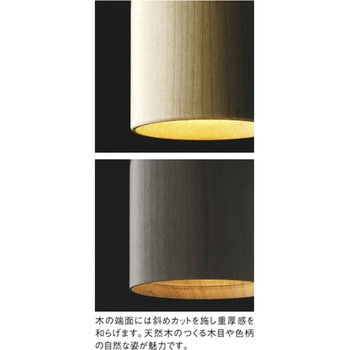 KOIZUMI AP 46954 L ペンダントライト AP46954L ペンダントライト コイズミ 電球色 埋込取付 消費電力