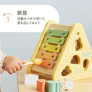 バニーシリーズ アクティビティボックス/5in1(対象年齢18ヶ月から) PolarB