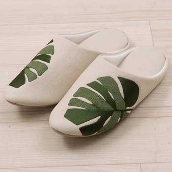 モンステラ M+home