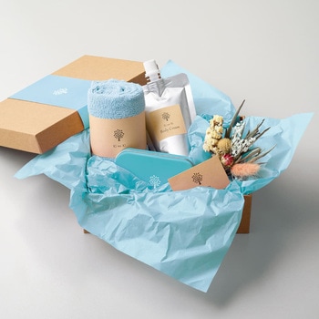 推し色薄葉紙水色 ヒサゴ