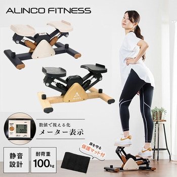 サイドステッパー フィーア 保護マット付き アルインコ