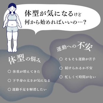 サイドステッパー フィーア 保護マット付き アルインコ