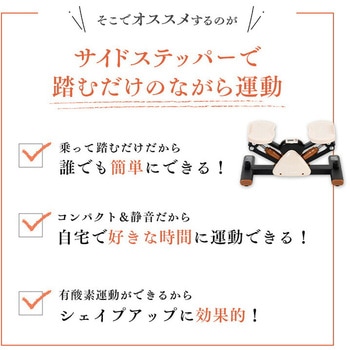 サイドステッパー フィーア 保護マット付き アルインコ