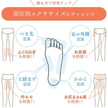 サイドステッパー フィーア 保護マット付き アルインコ