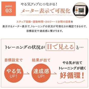 サイドステッパー フィーア 保護マット付き アルインコ