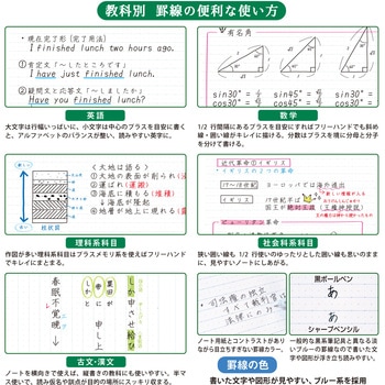 ノート Tree's B5 プラスメモリ 5冊束 空柄 日本ノート