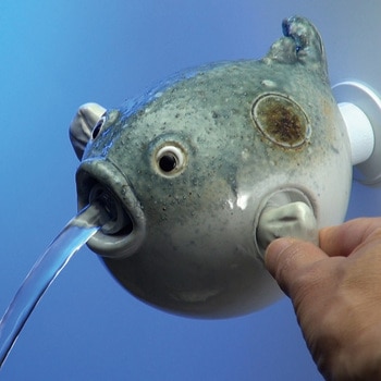 雑魚とは違うのだよ カクダイ