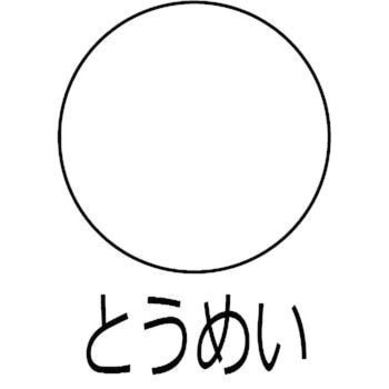 ビニローゼ サンデーペイント