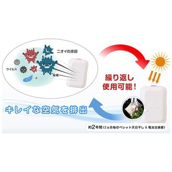 kila air キラ・エアー 12個入 FANS(フジコー)