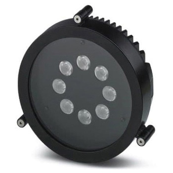 LED電球 白 定格電圧：24V dc フエニックス・コンタクト