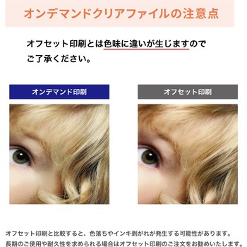 【オーダー】A4フルカラーオンデマンドクリアファイル(小ロット) レスタス