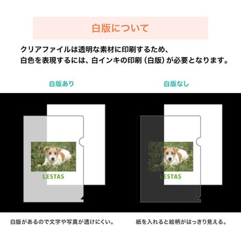 【オーダー】A4フルカラークリアファイル レスタス