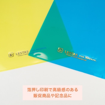 【名入れ】A4箔押し名入れクリアファイル レスタス