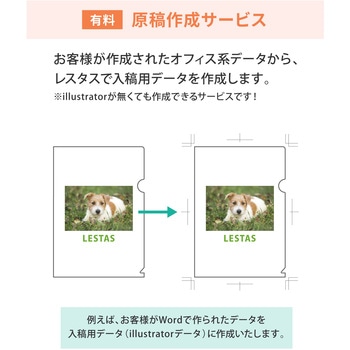 【オーダー】紙製ファイル(未晒クラフト) レスタス