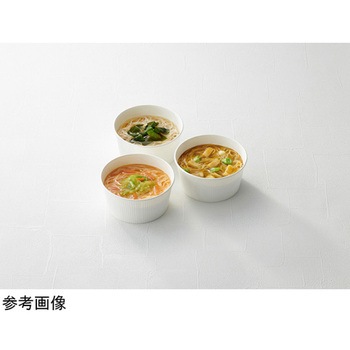 スープ素麺 18個入 ADシリーズ 池利