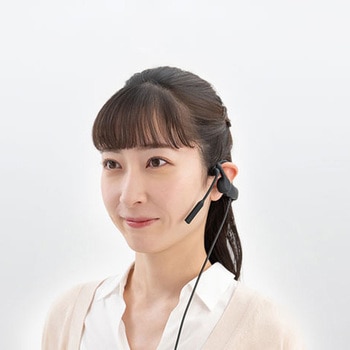 コールミーツ 有線タイプ キングジム