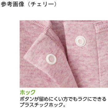 婦人フライス杢半袖 ホックインナー 97609シリーズ ケアファッション